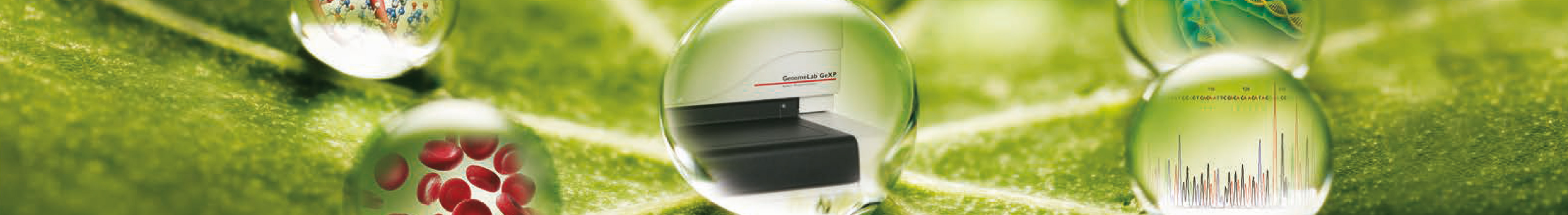 GenomeLab GeXP Genetic Analysis System Header